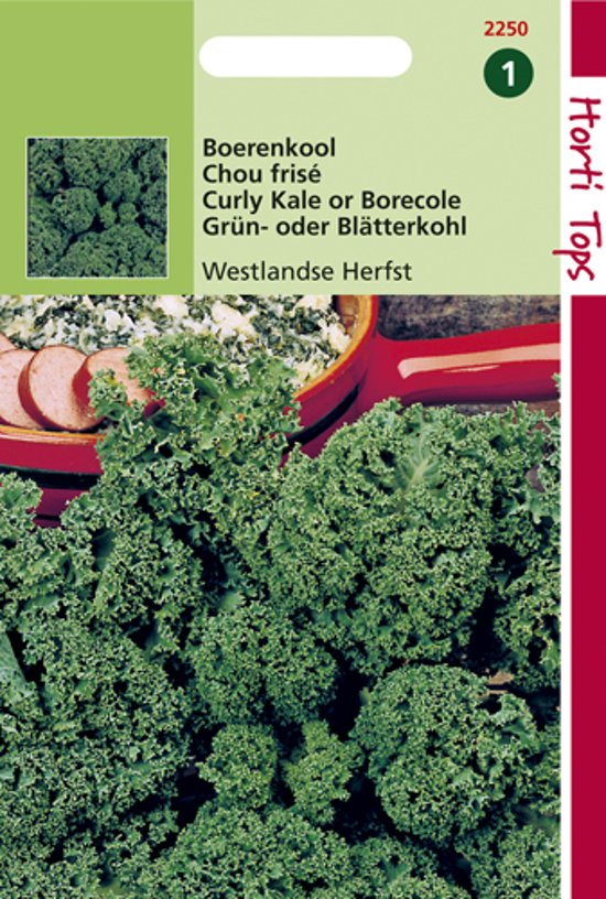 Boerenkool Westlandse herfst (Brassica) 900 zaden HT